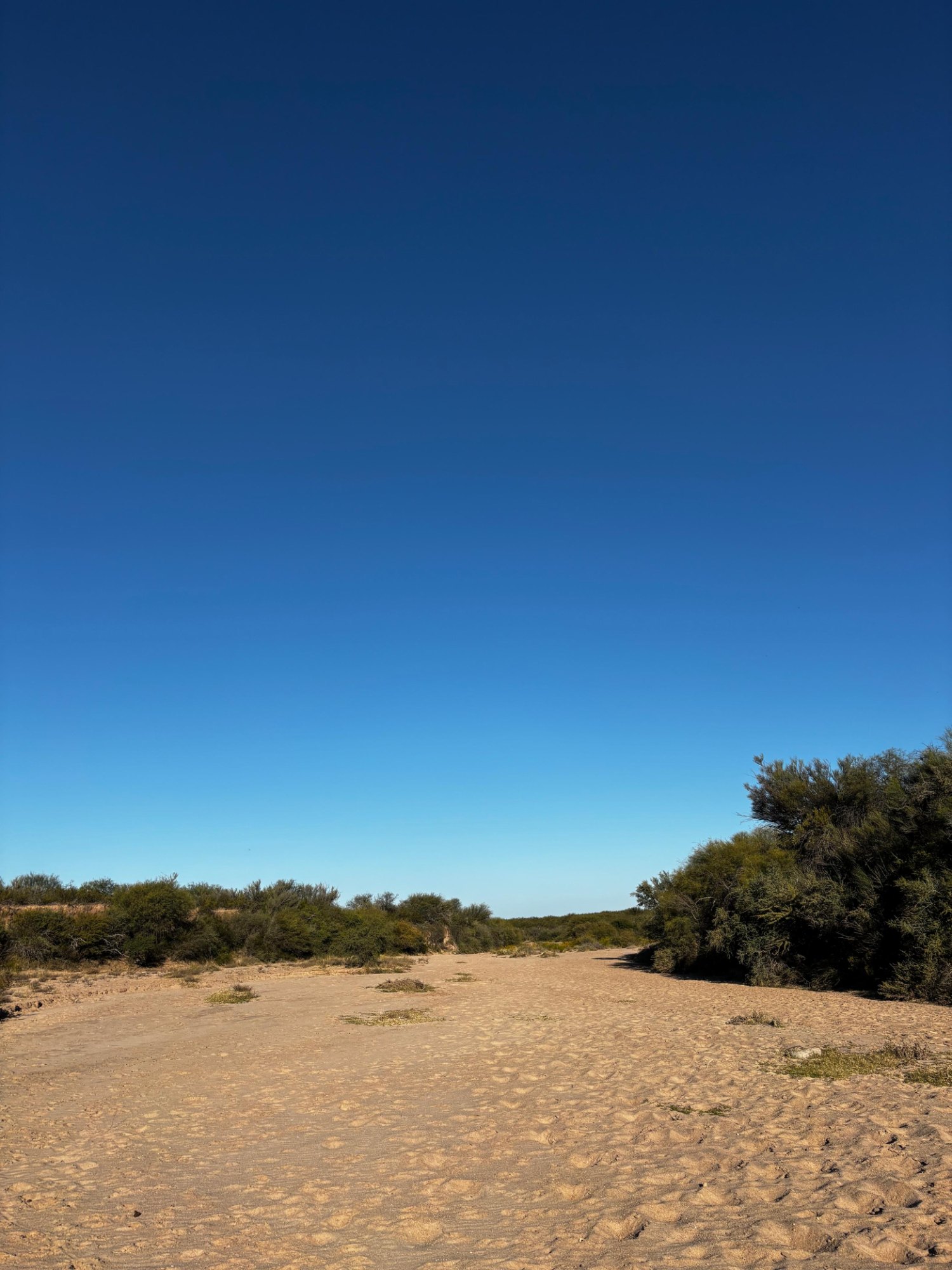 Cantera La Jarilla
